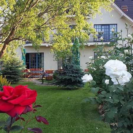 Villa Westfalia Guest House Tirgu Secuiesc Luaran gambar