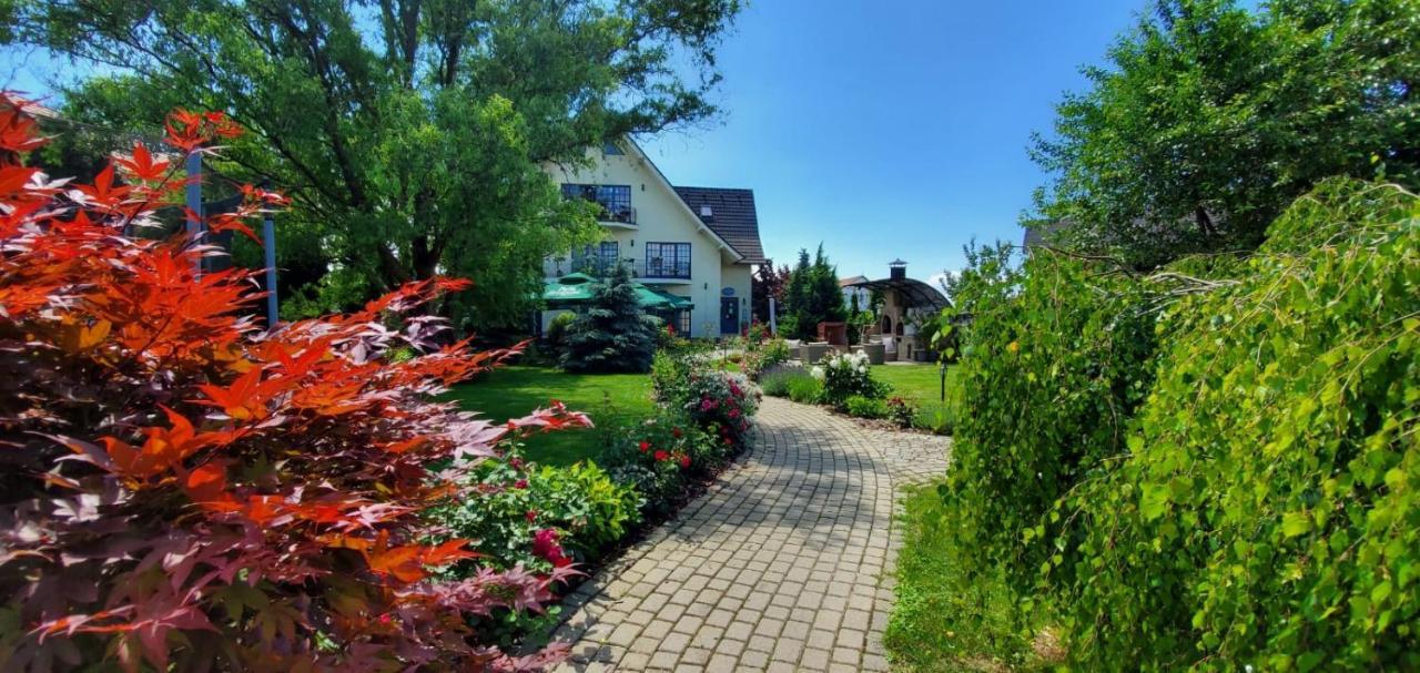 Villa Westfalia Guest House Tirgu Secuiesc Luaran gambar