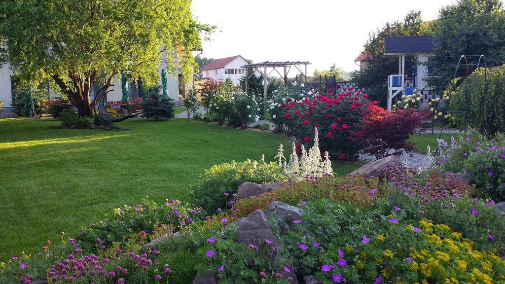 Villa Westfalia Guest House Tirgu Secuiesc Luaran gambar