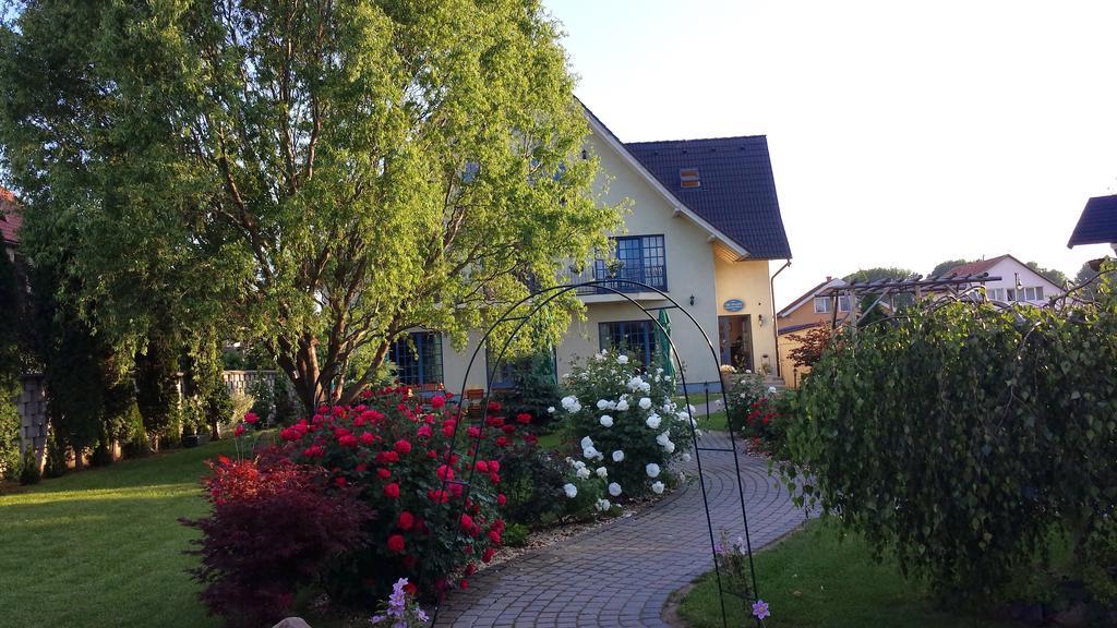 Villa Westfalia Guest House Tirgu Secuiesc Luaran gambar