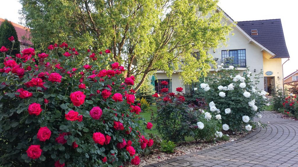 Villa Westfalia Guest House Tirgu Secuiesc Luaran gambar