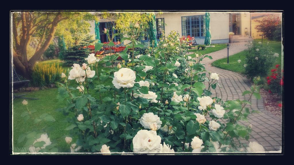 Villa Westfalia Guest House Tirgu Secuiesc Luaran gambar